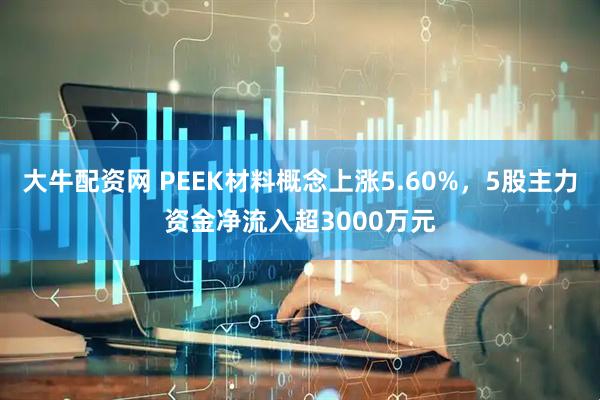 大牛配资网 PEEK材料概念上涨5.60%，5股主力资金净流入超3000万元