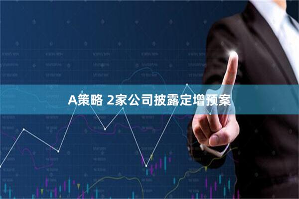A策略 2家公司披露定增预案