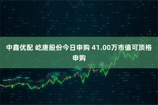中鑫优配 屹唐股份今日申购 41.00万市值可顶格申购