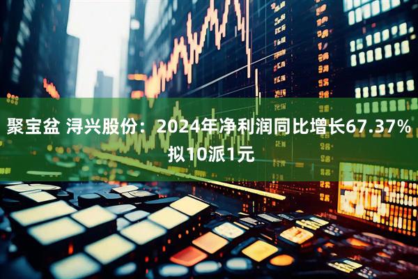 聚宝盆 浔兴股份：2024年净利润同比增长67.37% 拟10派1元