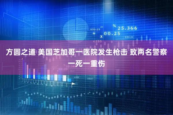 方圆之道 美国芝加哥一医院发生枪击 致两名警察一死一重伤